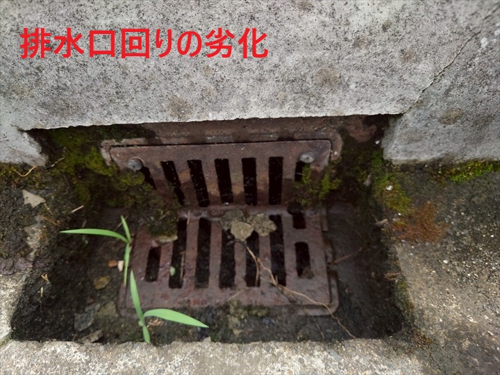 排水口の状況