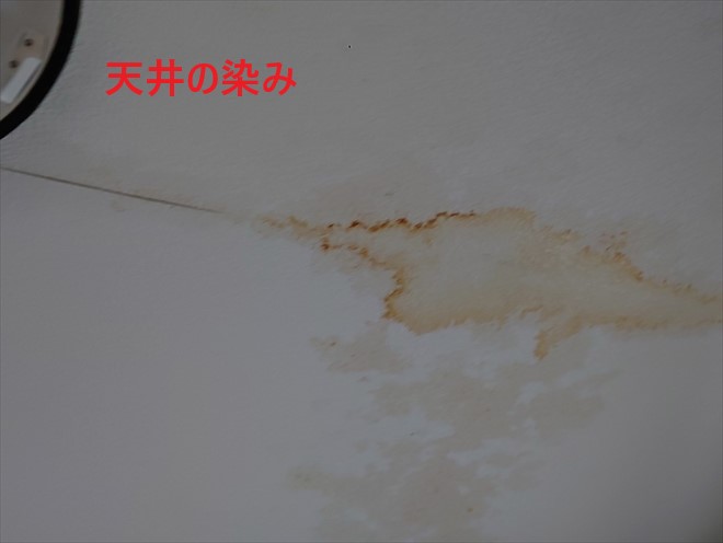 天井の雨染み