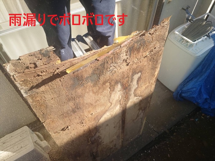 ボロボロのベニヤ