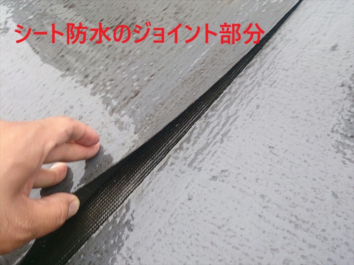 練馬区谷原で発生した雨漏りの原因とは？屋上防水の劣化が招く深刻な被害を徹底解説