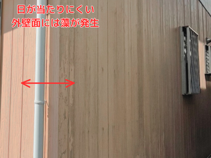 日が当たりにくい 外壁面には藻が発生