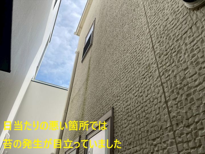 外壁の苔発生状況