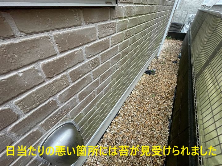 外壁下部の苔付着