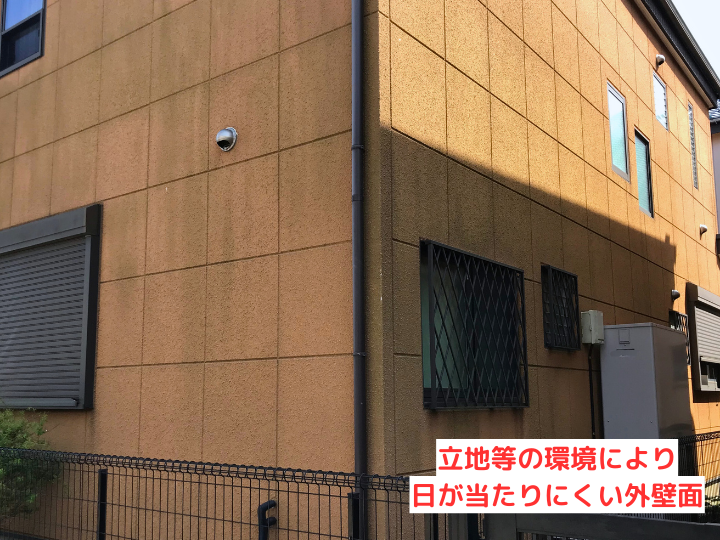 日陰になりやすい部分に苔の発生が目立っていました