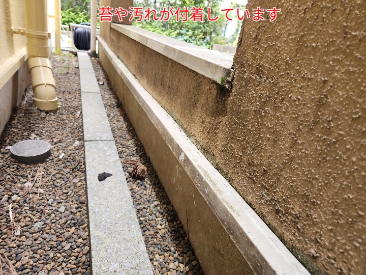 モルタル外壁に苔や汚れが付着