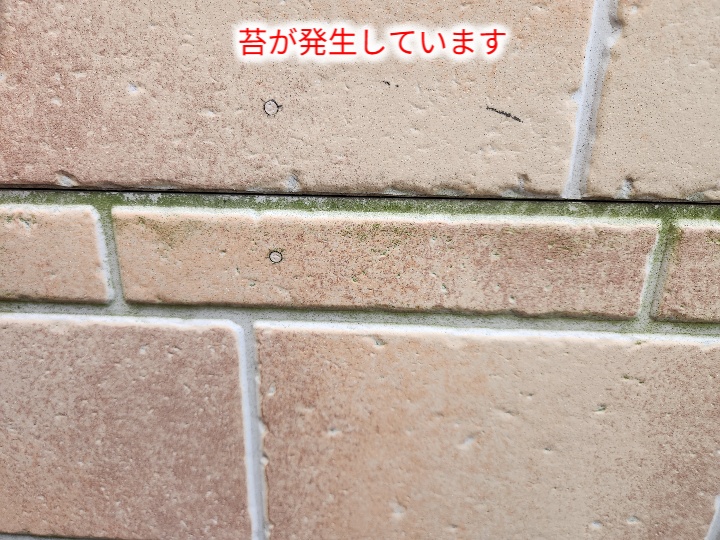板橋区徳丸でサイディング外壁の劣化を調査｜苔の発生とコーキングのひび割れから考える最適なメンテナンス方法