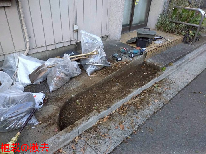 植栽の撤去