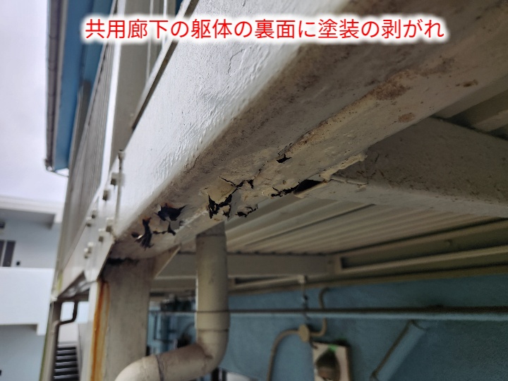 共用廊下裏の塗膜剥がれ