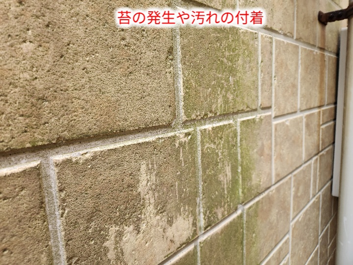 江戸川区谷河内で確認したサイディング外壁のひび割れと苔発生に対する外壁塗装前の現地調査