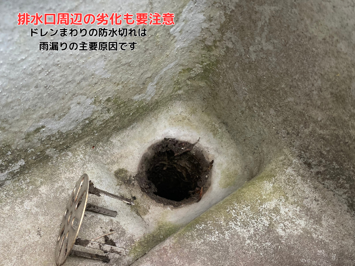 排水口まわりの劣化も要注意