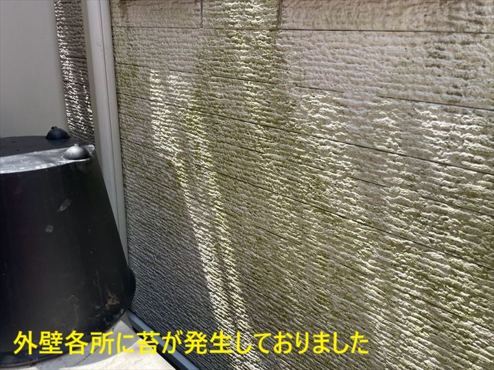 杉並区和田で確認した外壁塗装前の窯業系サイディングの苔・汚れ沈着とシーリングの劣化状況