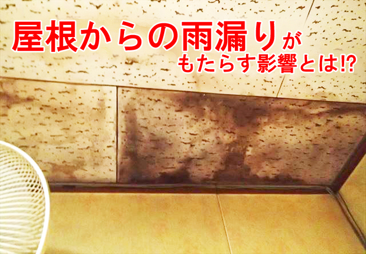 屋根からの雨漏りがもたらす影響とは⁉