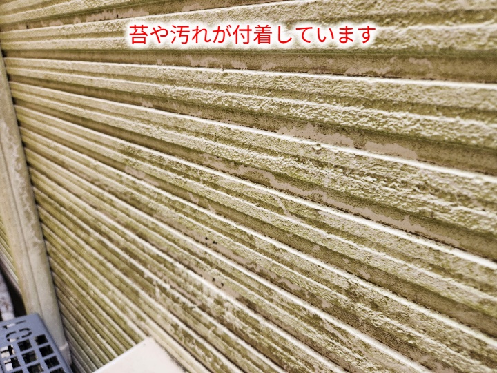 足立区青井で確認した苔の付着とチョーキングが進んだサイディング外壁の塗装メンテナンス調査