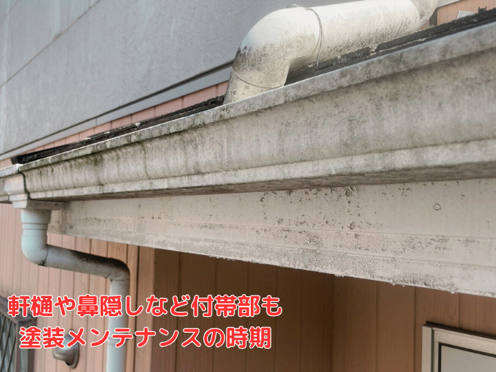 軒樋や鼻隠しなど付帯部も塗装メンテナンスの時期