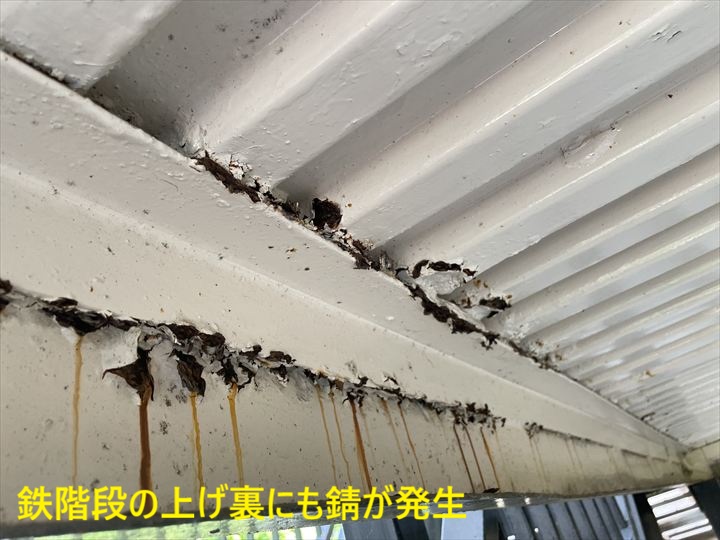 鉄階段上げ裏の錆