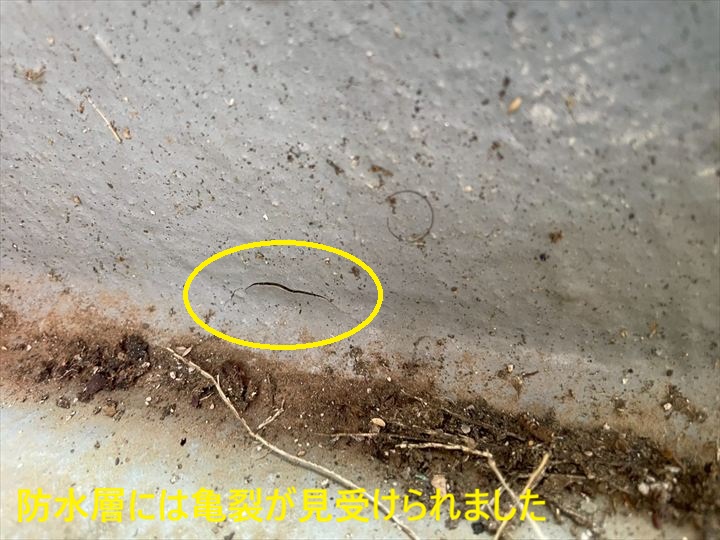 防水層には亀裂が見受けられました