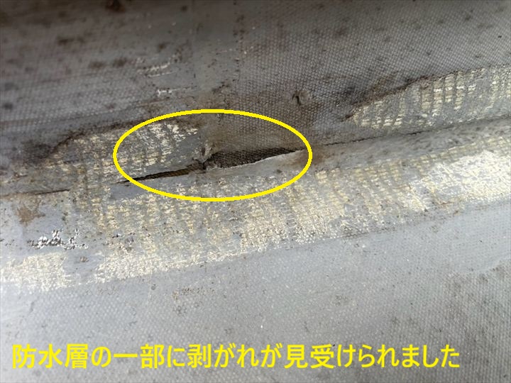 防水層の破れ拡大