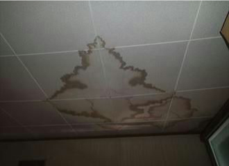 雨漏りにより天井にできた大きな染みの写真1