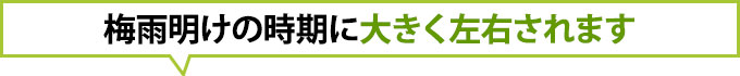 梅雨明けの時期に大きく左右されます