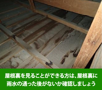 屋根裏を見ることが出来る方は、屋根裏に雨水の通った後がないか確認しましょう